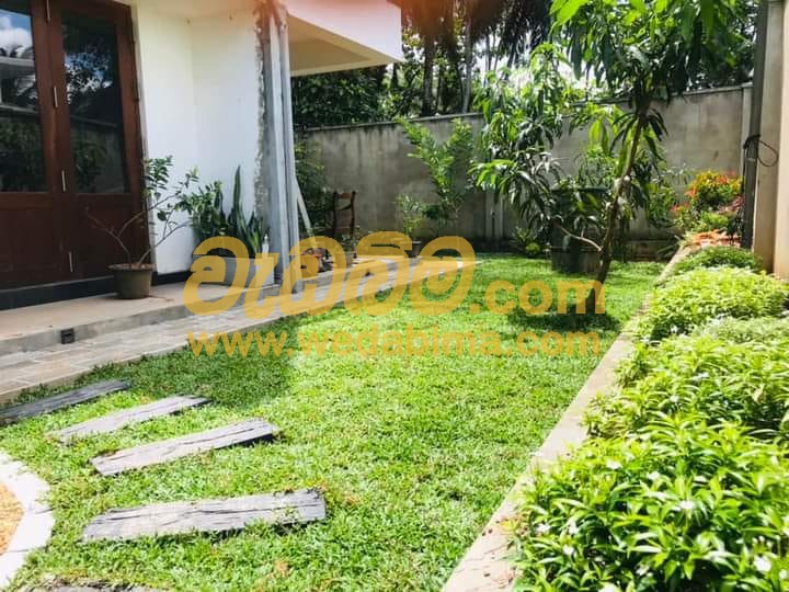 low budget simple home garden design in sri lanka