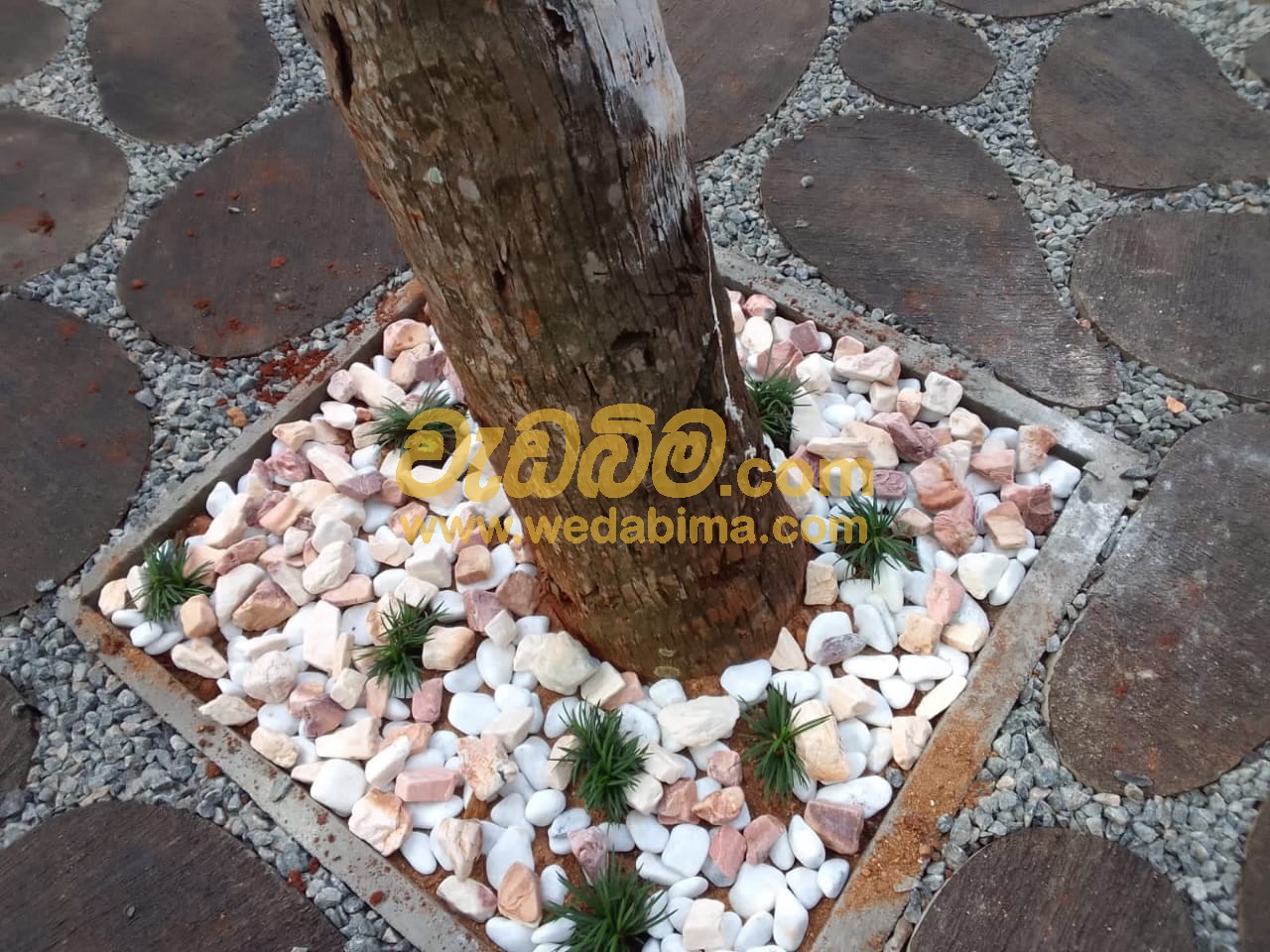 landscaping contractors in anuradhapura