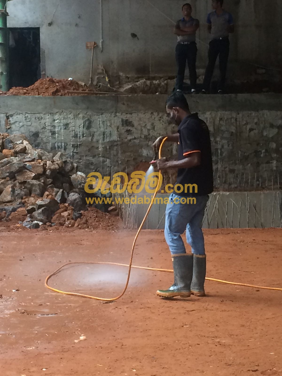 termite control in sri lanka