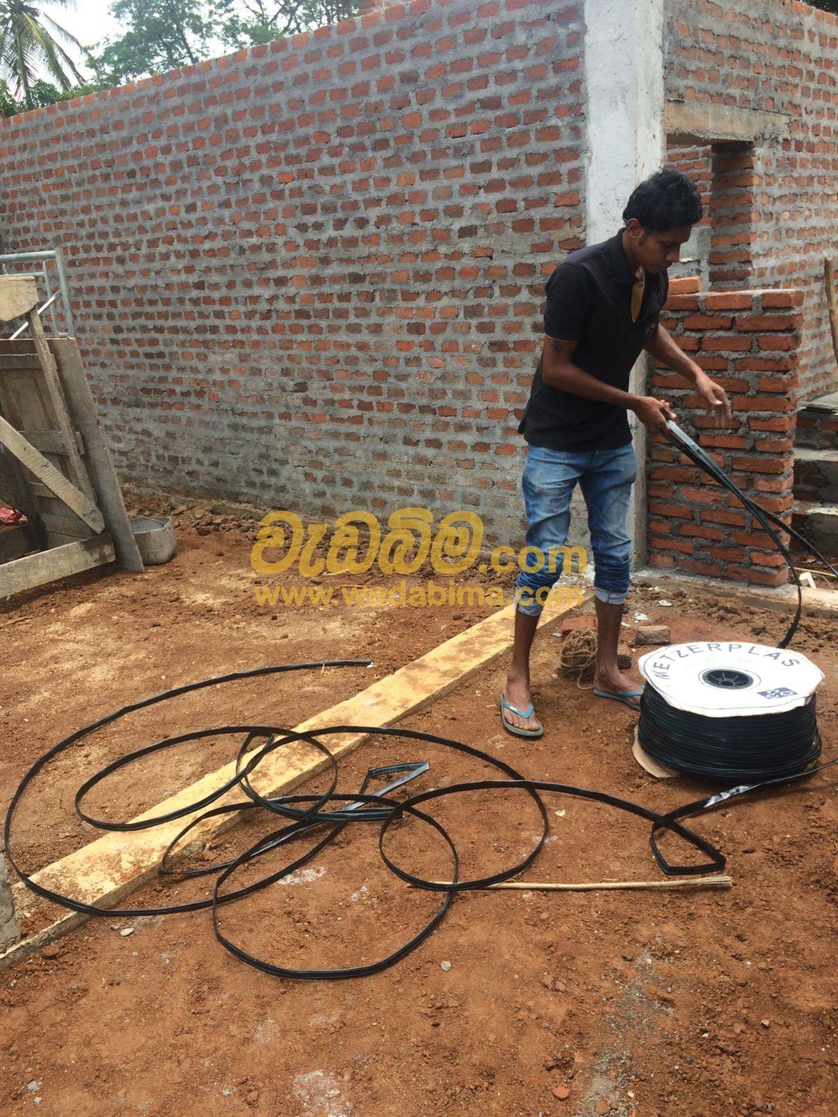 Termite treatment Jaffna