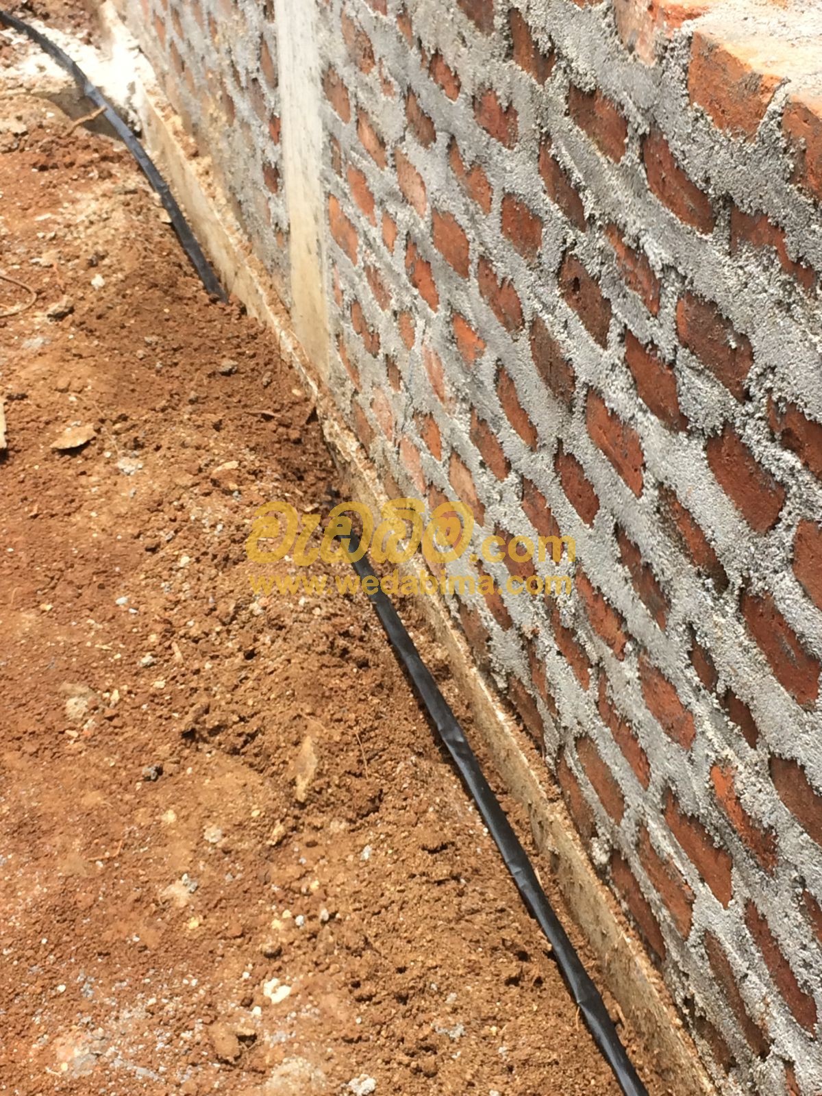 anti termite treatment contractors in sri lanka