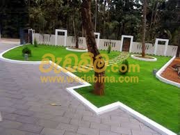 landscaping for small gardens in sri lanka