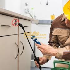 Pest control services in Jaffna