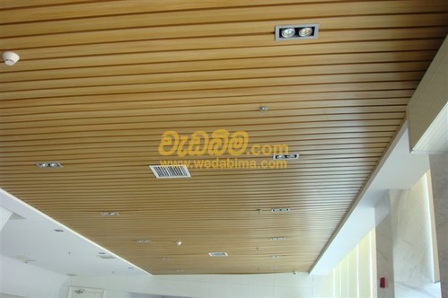 I - Panel Ceiling